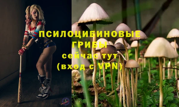2c-b Волоколамск